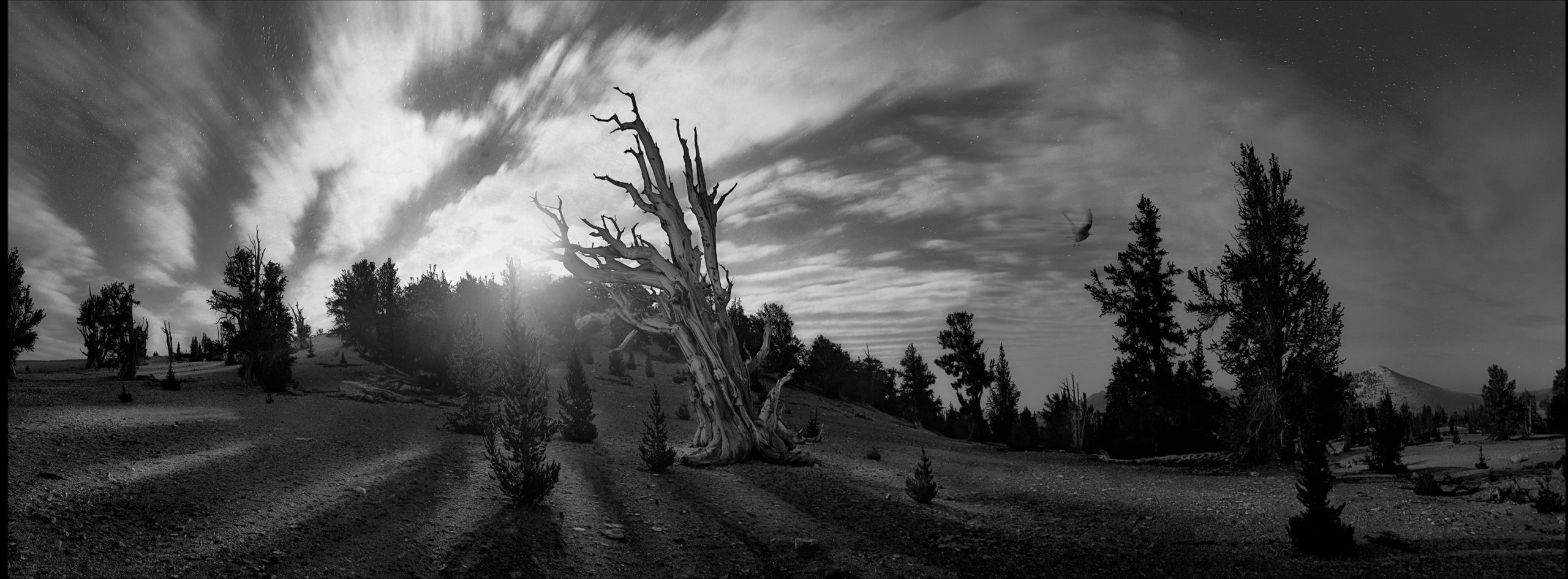 LANDSCAPE COMPOSITES PHOTOGRAPHY Bad Moon Rising